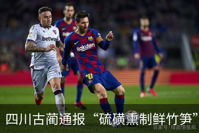 四川古蔺通报“硫磺熏制鲜竹笋”：已对涉案人员进行立案调查，对全县竹笋收购、加工、销售等环节开展全面排查